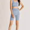 Discount Z Supply Walk It Out Seamless Short-Ocean|